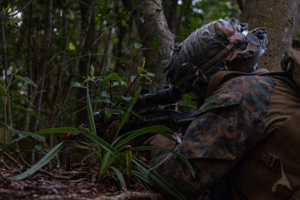 31st MEU conducts Amphibious Insert and Combat Town Raid