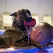 MWD Water Familiarization Training