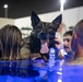 MWD Water Familiarization Training