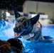 MWD Water Familiarization Training