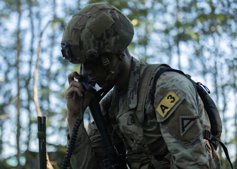 U.S. Army Europe and Africa Best Squad Competition: Tactical Exercise