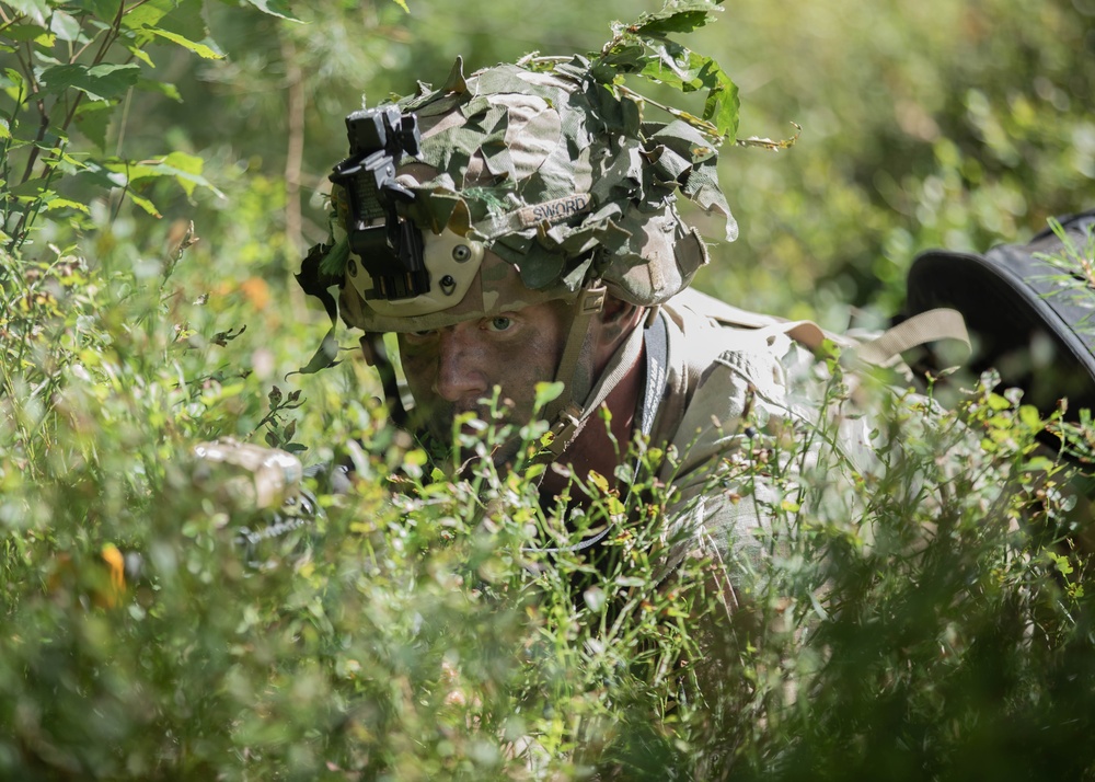 U.S. Army Europe and Africa Best Squad Competition: Tactical Exercise