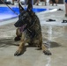 MWD complete water familiarization training