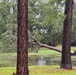 Troops weather the storm: Fort Stewart-Hunter’s response to Debby