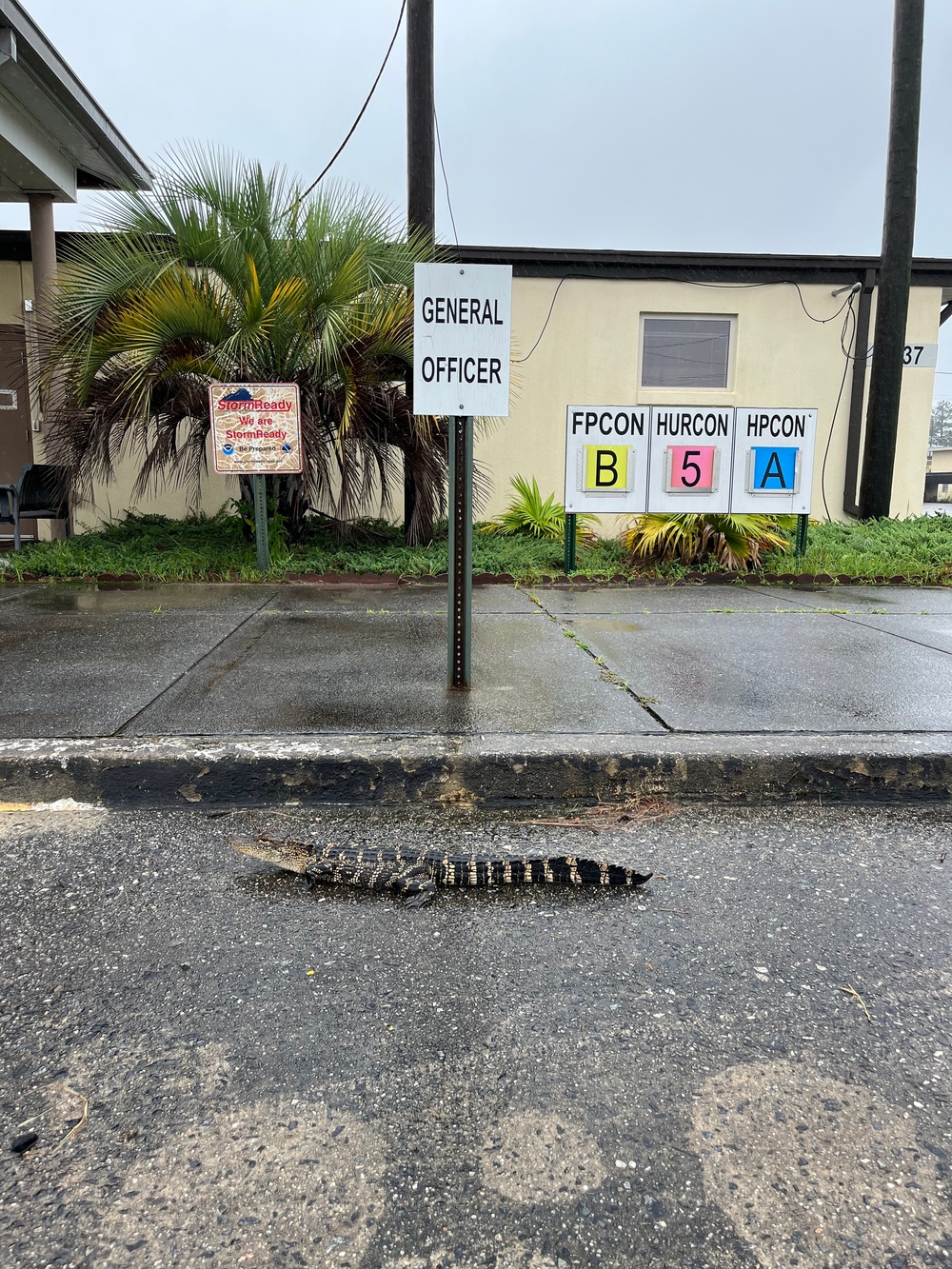 Troops weather the storm: Fort Stewart-Hunter’s response to Debby