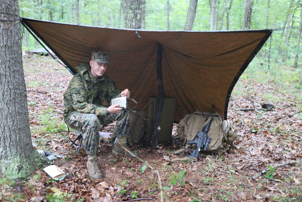 Best seat in the house