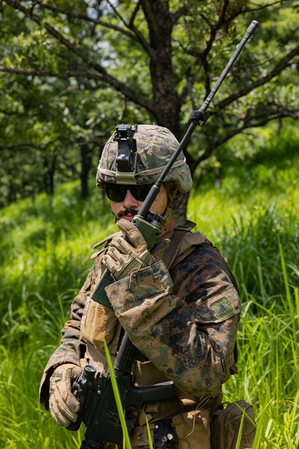 RD 24 | Marines Sight in with FIM-92 Trainer During Resolute Dragon