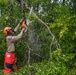 202d RED HORSE Clears Roads After Hurricane Debby