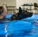 MWD complete water familiarization training