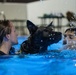 MWD complete water familiarization training