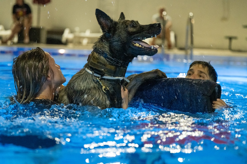 MWD complete water familiarization training