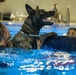 MWD complete water familiarization training
