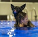 MWD complete water familiarization training