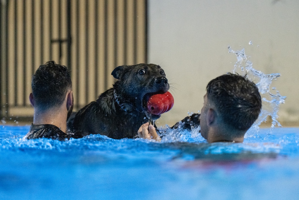 MWD complete water familiarization training