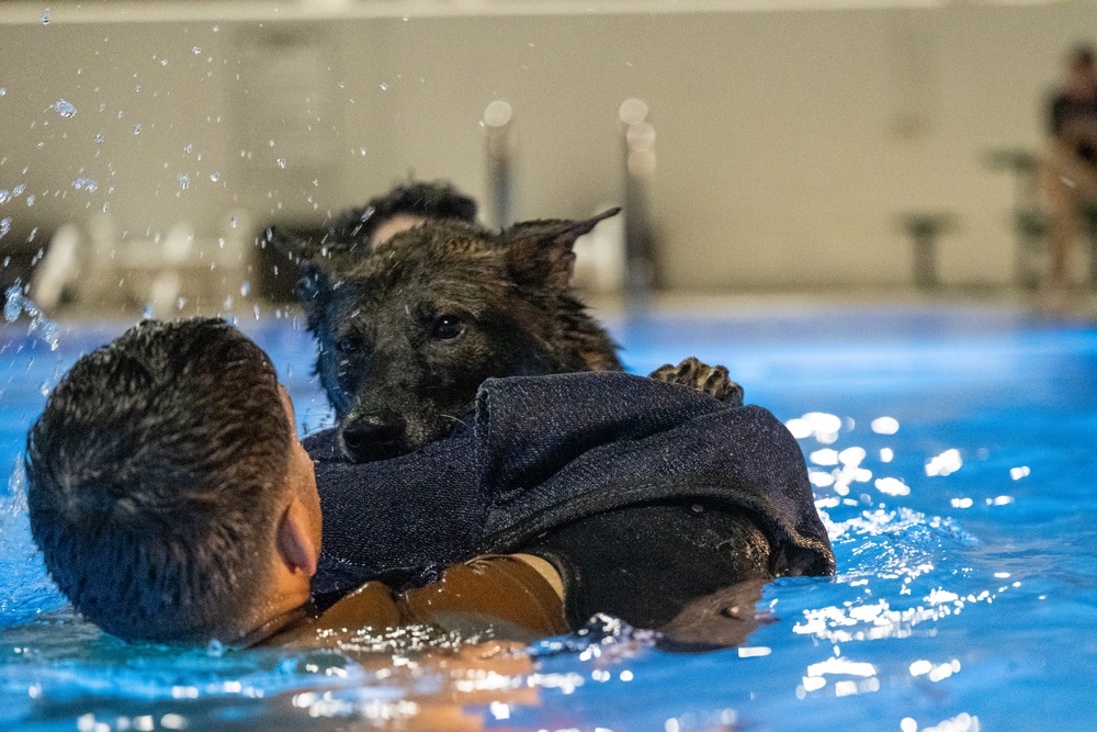MWD complete water familiarization training