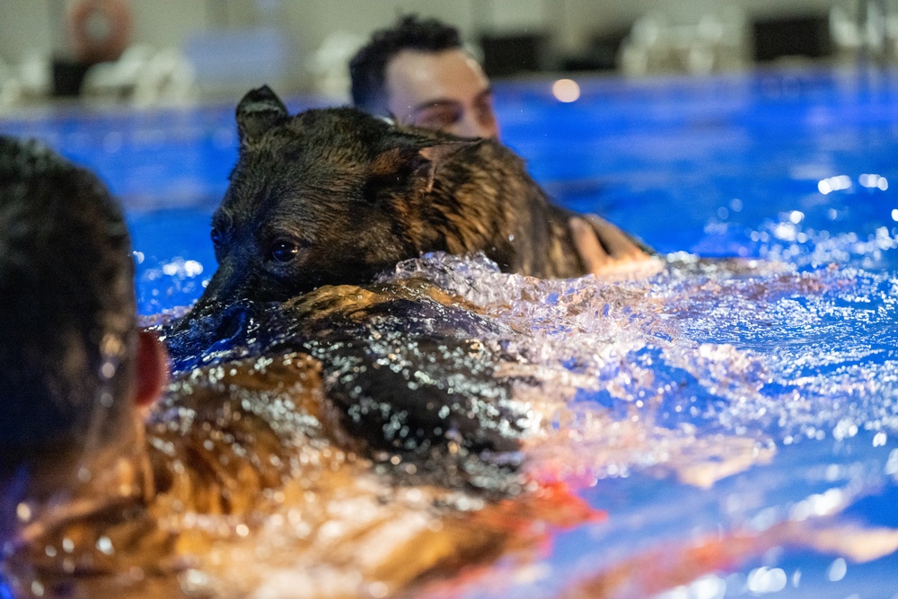 MWDs complete water familiarization training