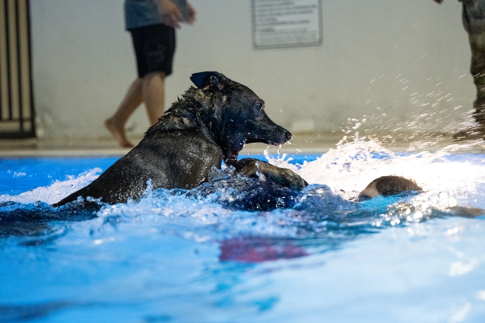 MWDs complete water familiarization training