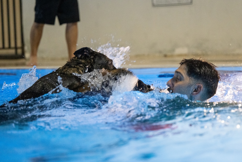 MWDs complete water familiarization training