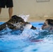 MWDs complete water familiarization training