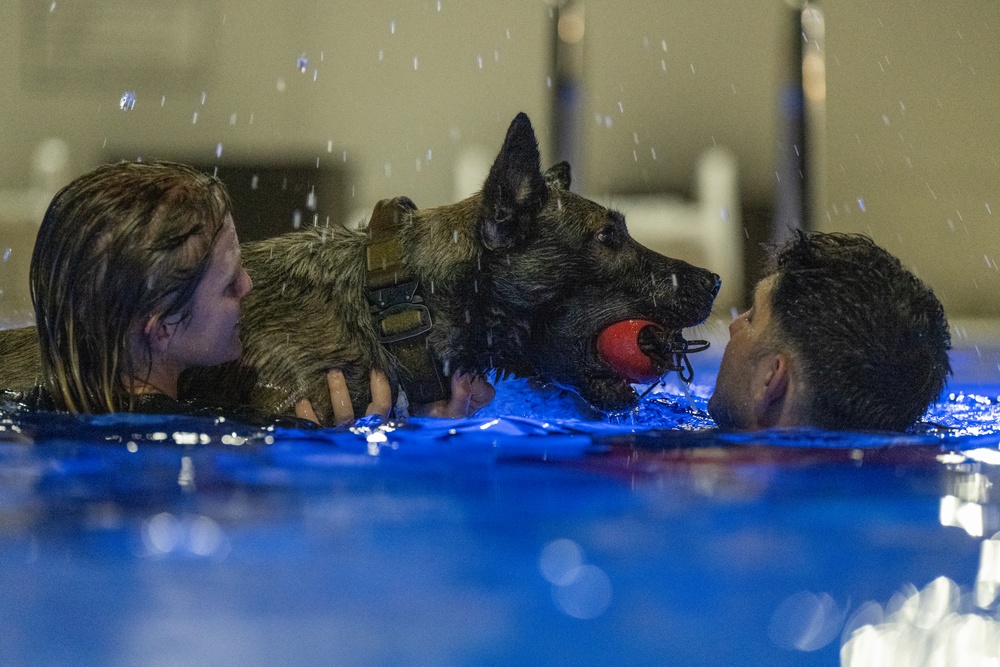 MWDs complete water familiarization training
