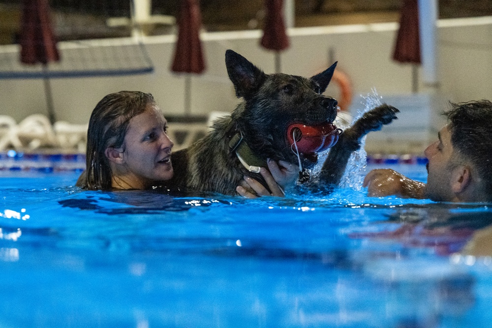 MWDs complete water familiarization training