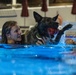 MWDs complete water familiarization training
