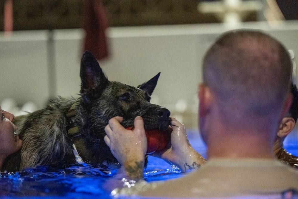 MWDs complete water familiarization training