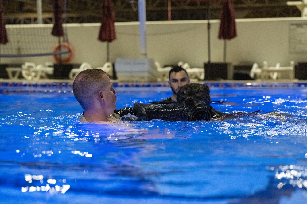 MWDs complete water familiarization training