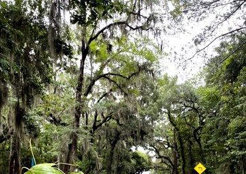 Tropical Cyclone Debby at Hunter Army Airfield