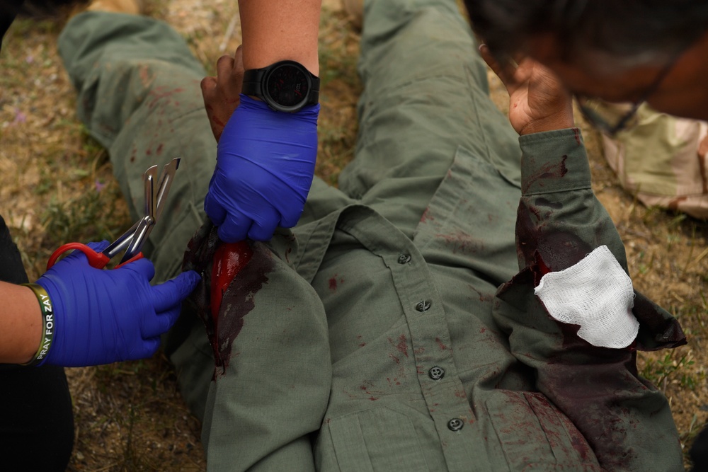 Mass causality training at Exercise Northern Strike