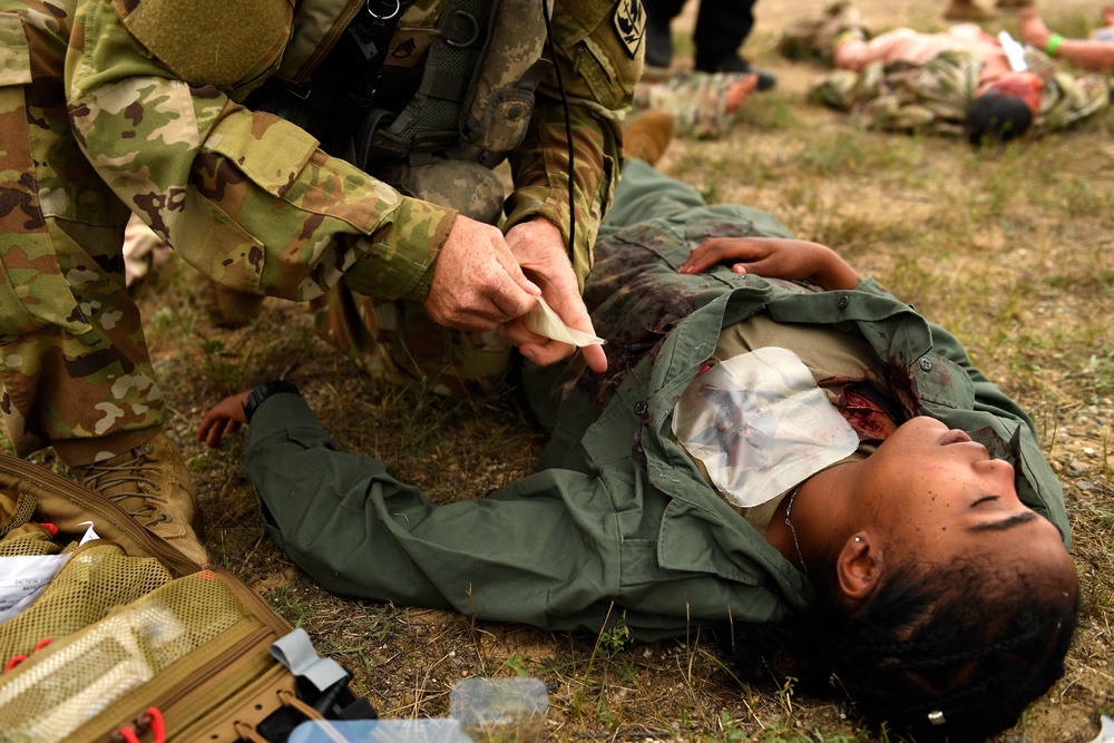 Mass causality training at Exercise Northern Strike