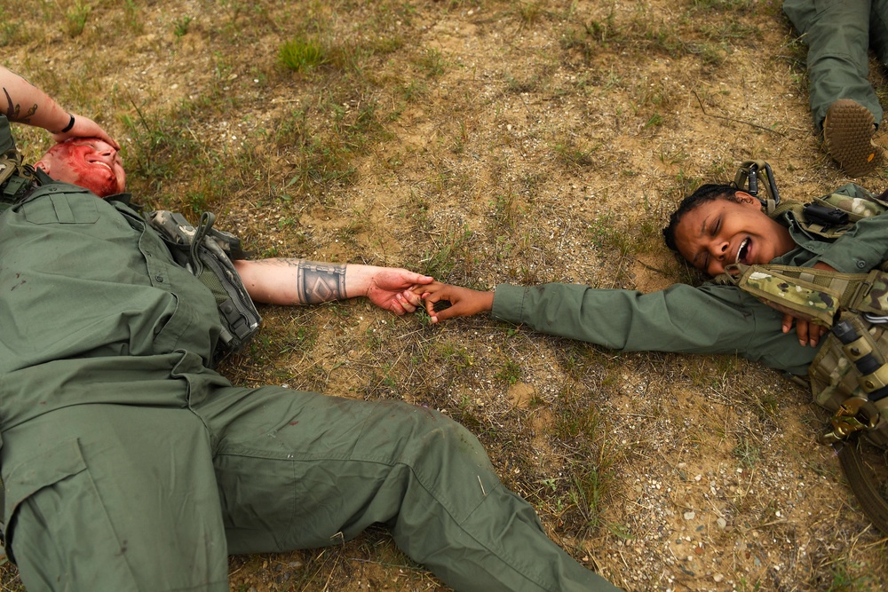 Mass causality training at Exercise Northern Strike