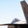 USAF, RAAF demonstrate interoperability in austere location USAF, RAAF demonstrate interoperability in austere location