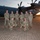 USAF, RAAF demonstrate interoperability in austere location USAF, RAAF demonstrate interoperability in austere location