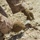 Koa Moana 24: EOD Sweeps for WWII Unexploded Ordnance Koa Moana 24: EOD Sweeps for WWII Unexploded Ordnance