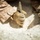 Koa Moana 24: EOD Sweeps for WWII Unexploded Ordnance Koa Moana 24: EOD Sweeps for WWII Unexploded Ordnance