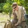 Koa Moana 24: EOD Sweeps for WWII Unexploded Ordnance Koa Moana 24: EOD Sweeps for WWII Unexploded Ordnance