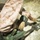 Koa Moana 24: EOD Sweeps for WWII Unexploded Ordnance Koa Moana 24: EOD Sweeps for WWII Unexploded Ordnance