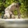 Koa Moana 24: EOD Sweeps for WWII Unexploded Ordnance Koa Moana 24: EOD Sweeps for WWII Unexploded Ordnance