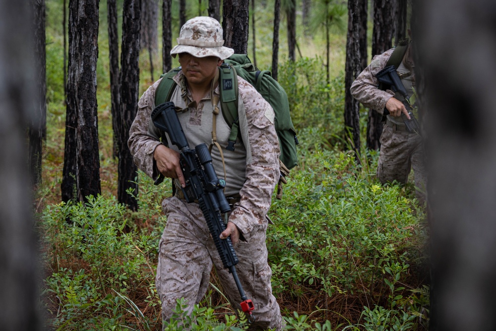 Fortifying Efforts: 2d Reconnaissance Battalion Conducts Integration Training during UAE UET 24-2