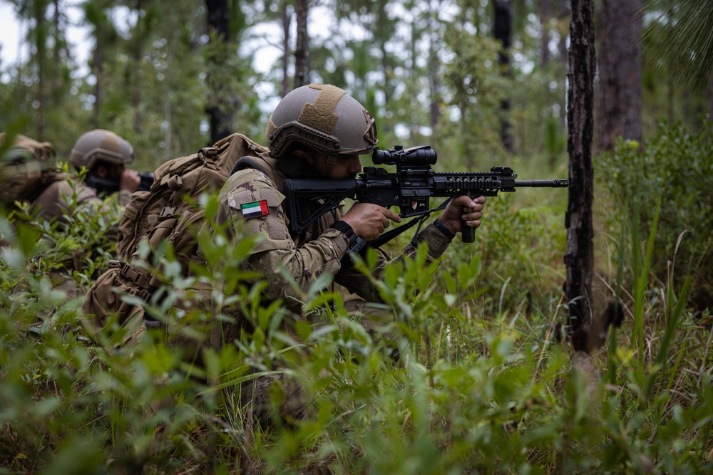 Fortifying Efforts: 2d Reconnaissance Battalion Conducts Integration Training during UAE UET 24-2