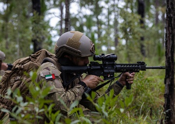 Fortifying Efforts: 2d Reconnaissance Battalion Conducts Integration Training during UAE UET 24-2
