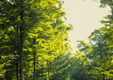 Soldiers complete the final event of NBWC2024