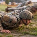 U.S. Army Europe and Africa Best Squad Competition: EPFA