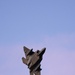 F-22s deploy to CENTCOM area to deter aggression via RAF Lakenheath