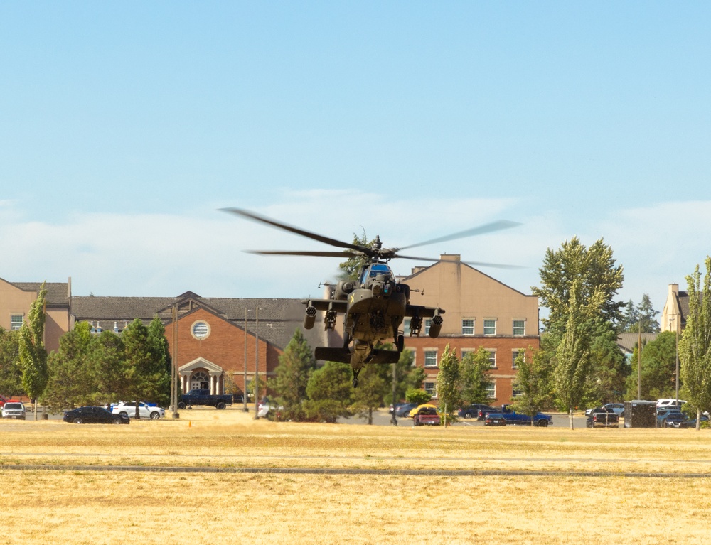 8th Squadron, 1st Cavalry Regiment color casing