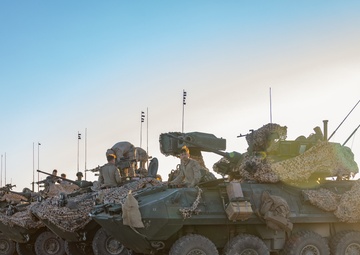 2nd LAR participates in platoon attacks during an ITX as part of SLTE 5-24