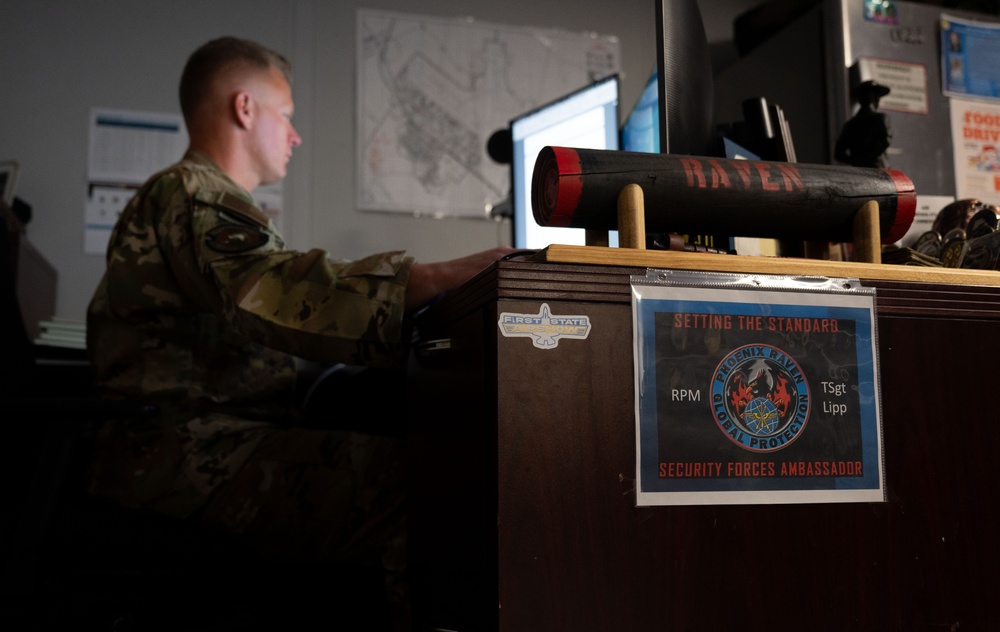 All or nothing: A look into the 436th SFS Phoenix Ravens