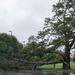 Moody AFB assesses damage from Tropical Storm Debby