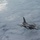 91st ARS refuels fighter aircraft during Exercise Bamboo Eagle 24-3 91st ARS refuels fighter aircraft during Exercise Bamboo Eagle 24-3